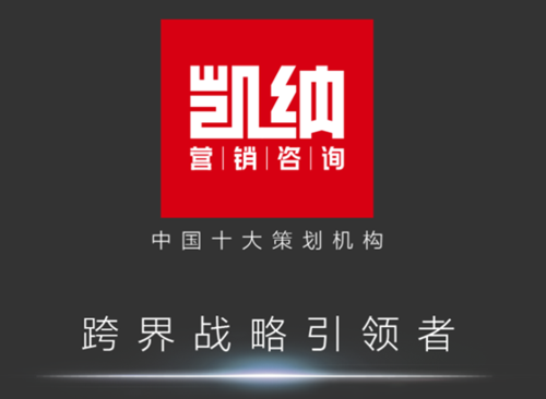 凯纳营销咨询_上海凯纳营销策划公司 - 品牌策划网